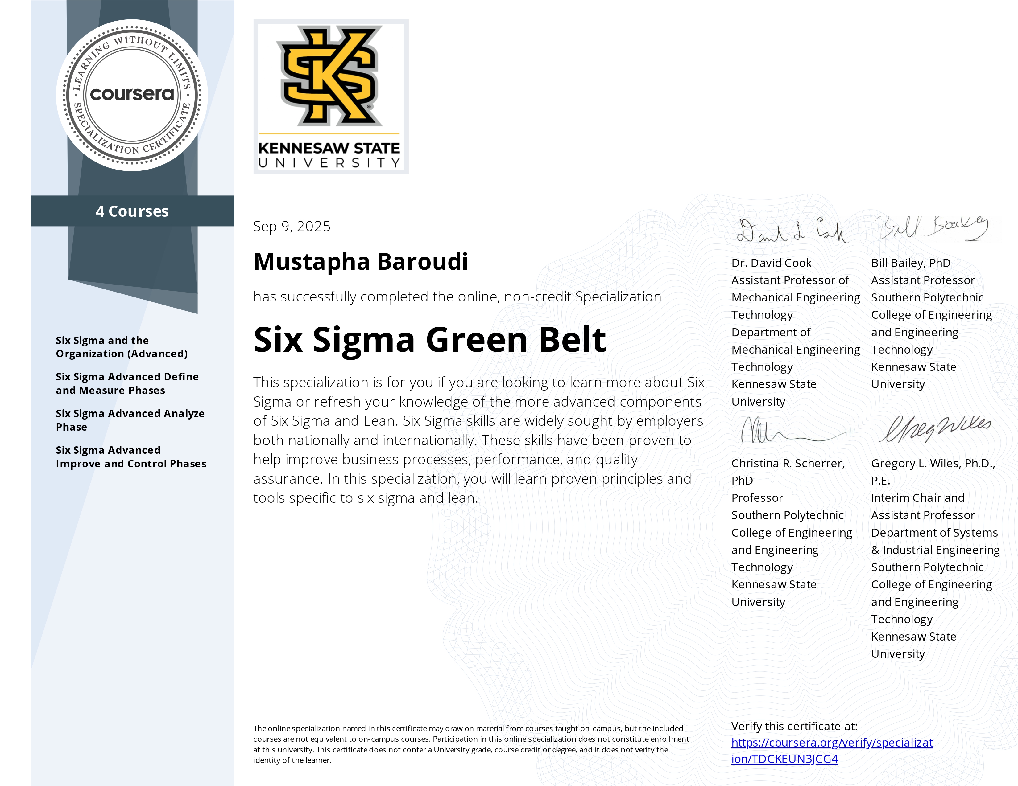 Six Sigma and the Organization (Advanced)